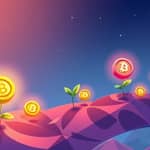 Plataformas de Lanzamiento de Cripto: Sembrando el Futuro